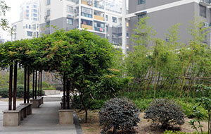 北城春色住宅小區景觀(guān)綠化工程